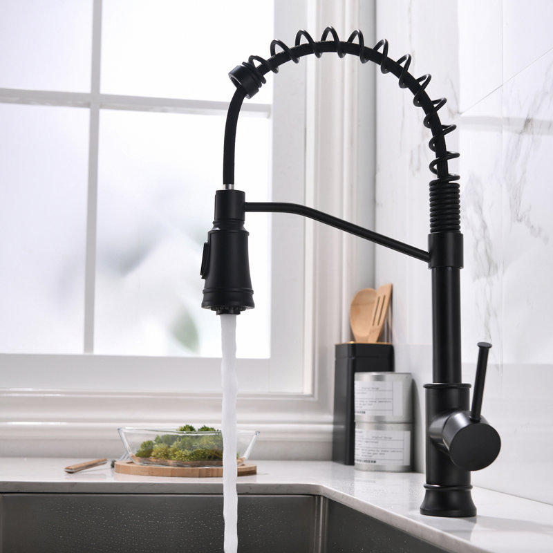 Robinet de cuisine en acier inoxydable noir avec douchette extractible, poignée simple, pour évier de cuisine | Idée de cadeau