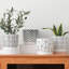 Pot Planter