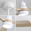 48 Inch Solid Wood Ceiling Fan With Dimmable Light 6 Speed Reversible Dc Motor-925500123