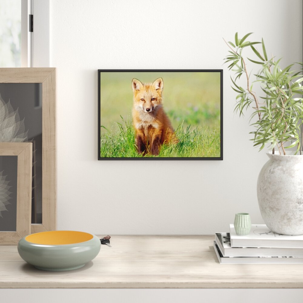 Gerahmtes Wandbild Kleiner Fuchs