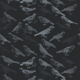 The Signature Tweeter 10' L x 24" W Wallpaper Tile