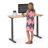 Series L 2S Adj Ht Sgl Desk-59745623-124301841