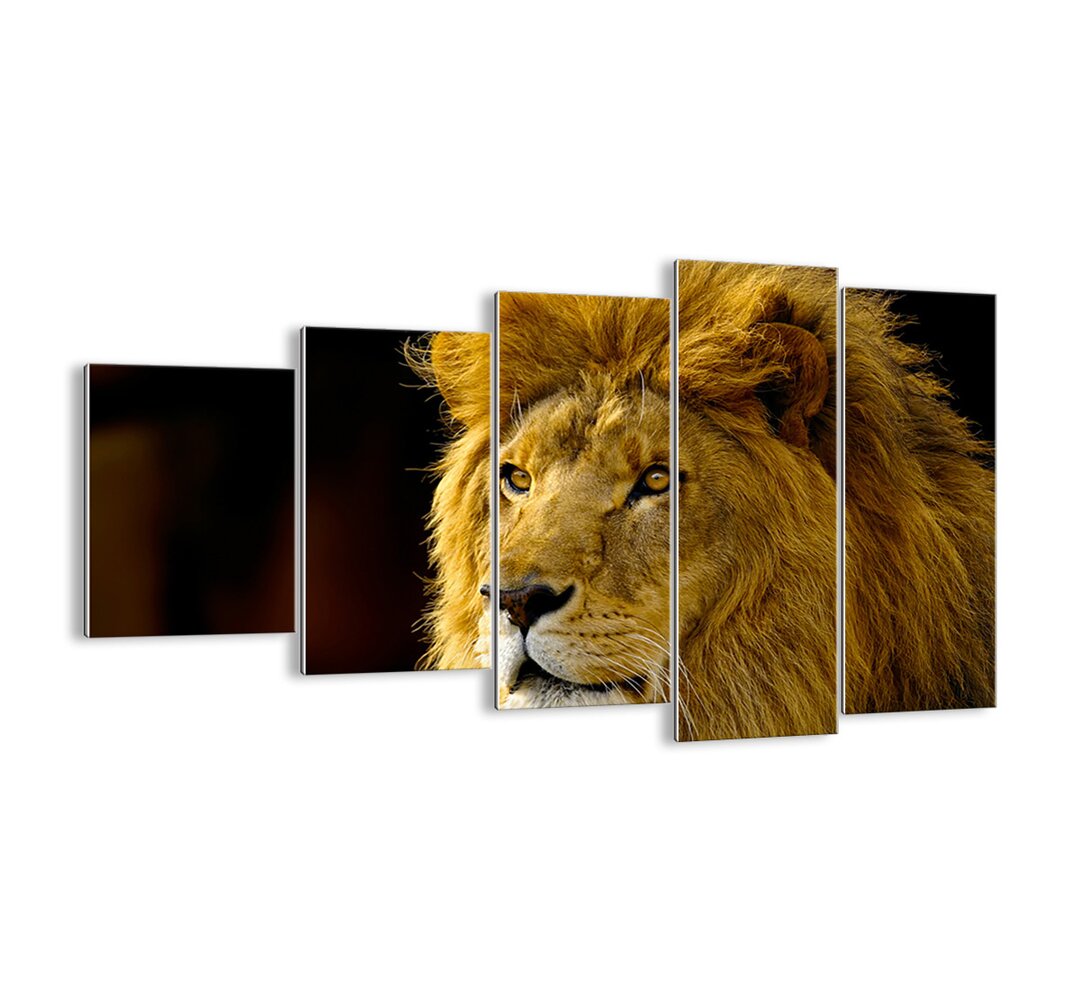 5-tlg. Glasbilder-Set - Fotografie „Lion King's portrait”