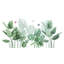 Decorative Rainforest Greenery Wall Decal Tropical Plants Wall Sticker