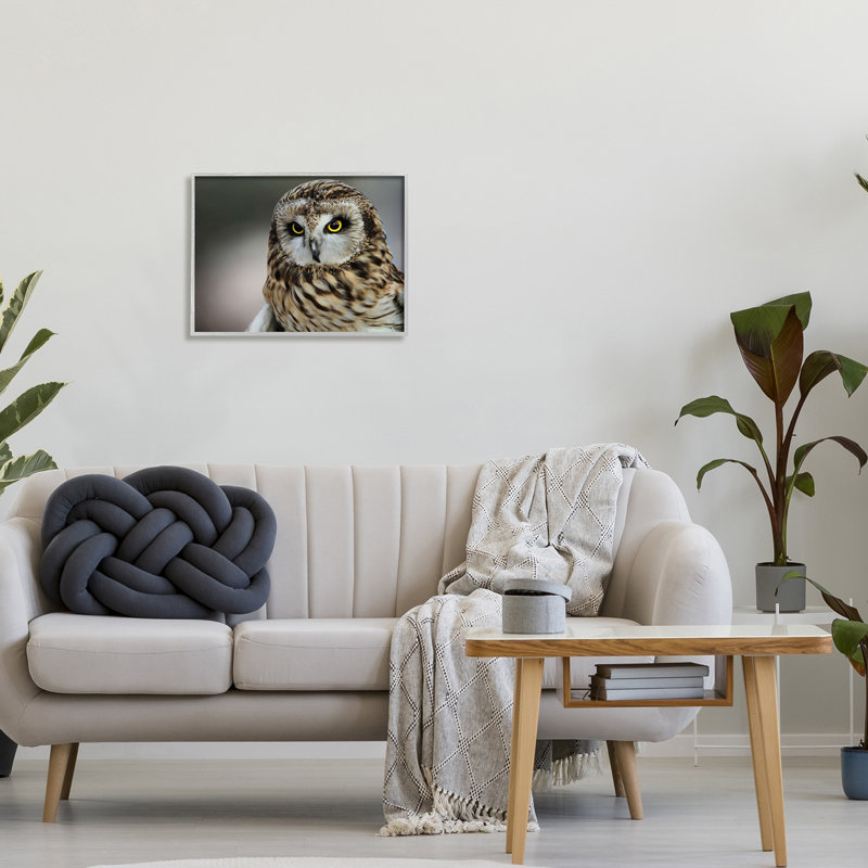 Effet de photographie de bokeh moderne hibou féroce, Daniel Sproul, H 20 po x l 16 po, Estampe numérique Farmhouse