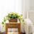 Artificial Fake Pothos Vine Plants Indoor