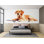Adhésif mural Golden Retriever, grand chien, autocollant mural pour chambre d'amoureux des animaux, 066Gm