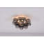 Abdurrahman Glass Semi Flush Mount-1668562274