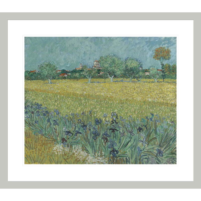 Champ avec iris près d'Arles par Vincent van Gogh, impression giclée encadrée, 23,5 po H x 26,8 po L