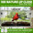 Window Bird Feeder With Non-marking Self-adhesive Hooks