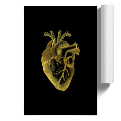 Black Gold Anatomical Heart - Frameless Print