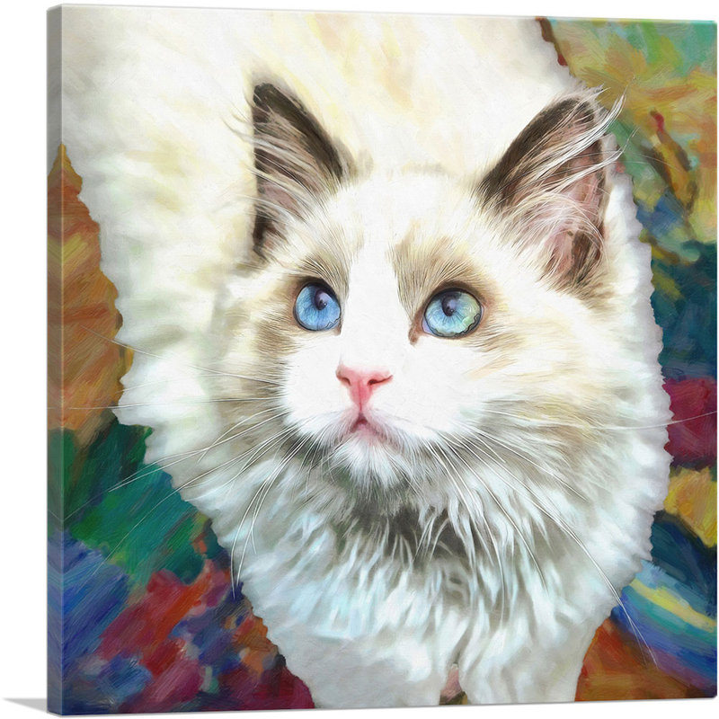 Ragdoll Cat Breed - reproduction d'art sur toile tendue, H 18 po x l 18 po x 1,5 po