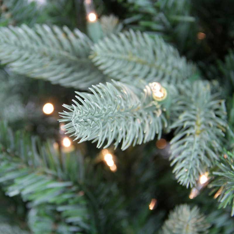 Washington Frasier Slim 9' Green Fir Artificial Christmas Tree with 900 Clear Lights
