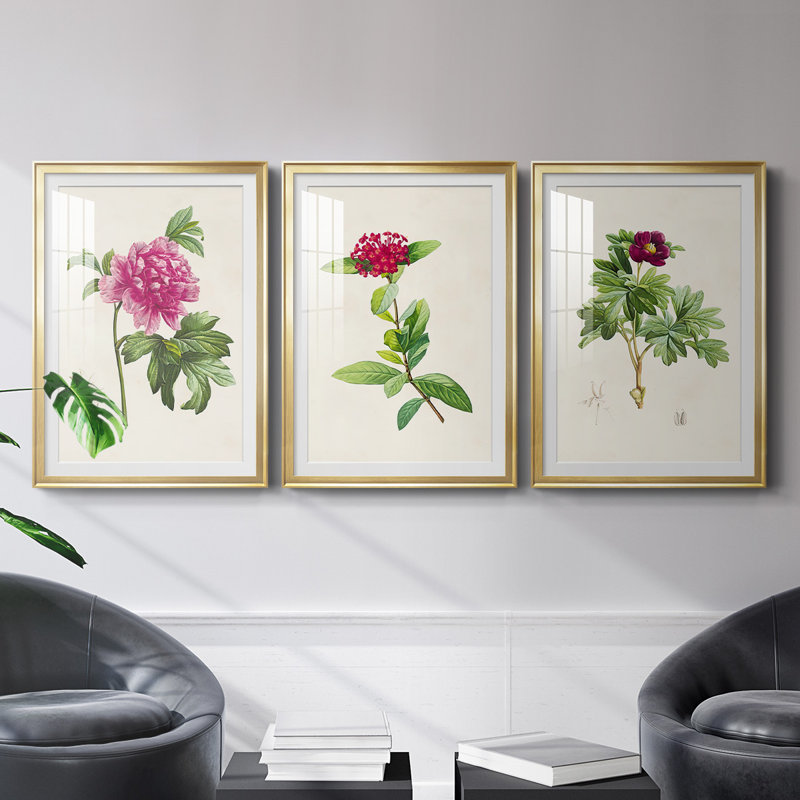 «Pretty Pink Botanicals I», reproduction encadrée de qualité supérieure - prête à être accrochée, Cadre doré