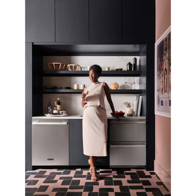 Powersteam Stainless Steel Dishwasher