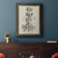 Antique Black & White Botanical III - reproduction d'art sur toile encadrée-218529559