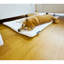 Teddy - Housse pour chien réversible Fluffy-1428928887