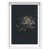 White Shadowbox