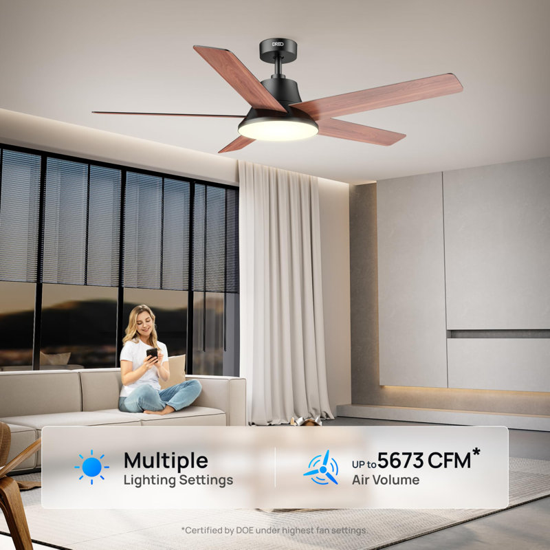 Ventilateur de plafond 52 pouces avec lumière et télécommande, Noir, noir, noir, noir