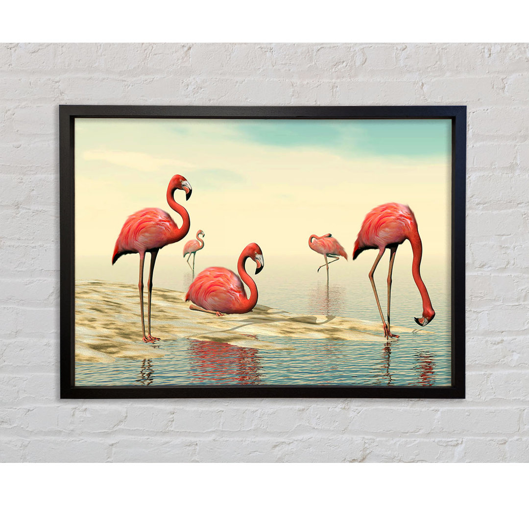 Rosa Flamingo beim Baden - Einzelner Bilderrahmen Kunstdrucke auf Leinwand