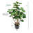 Faux Tree in Plastic Pot-331814849