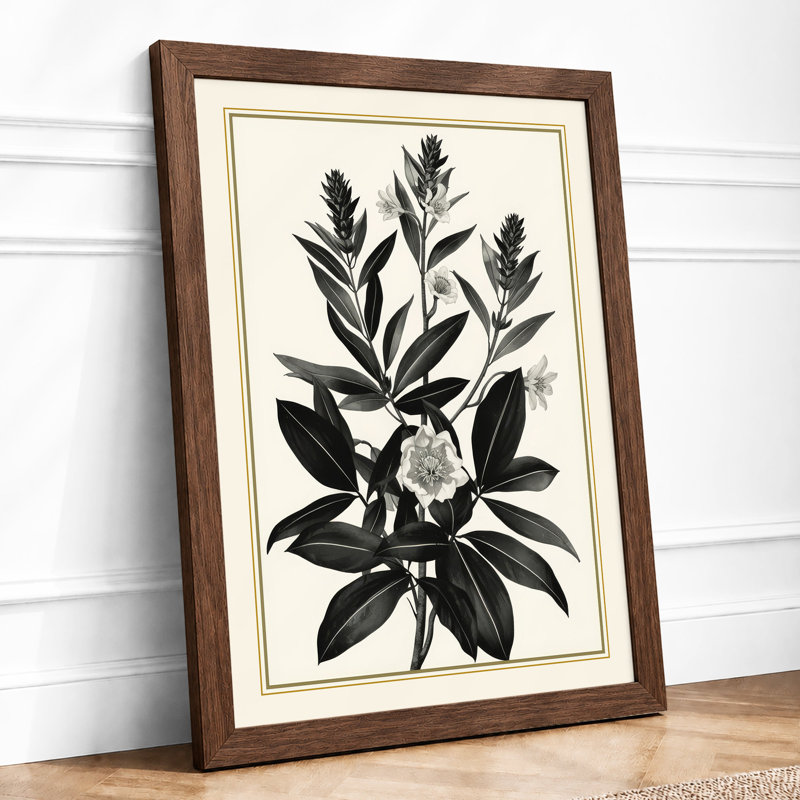 Study In Botanical - Framed Print, Walnut, A3 - 42.0 x 29.7 cm