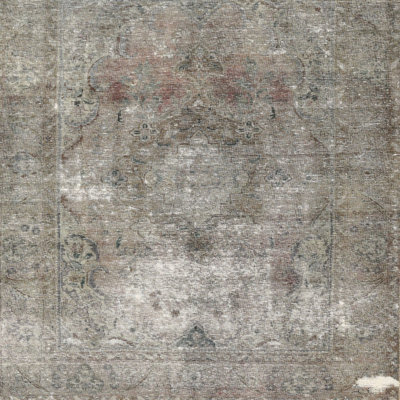 Shugart Wool Oriental Indoor Rug