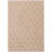 Helmtrud Chenille Oriental Indoor Rug