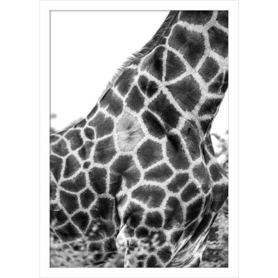 Rochellt "Super Safari No. 3 Giraffe" Print