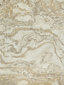 Gold/Ivory