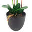 Fabric, Plastic, Faux Silk Artificial Arrangement in Planter-2021095636