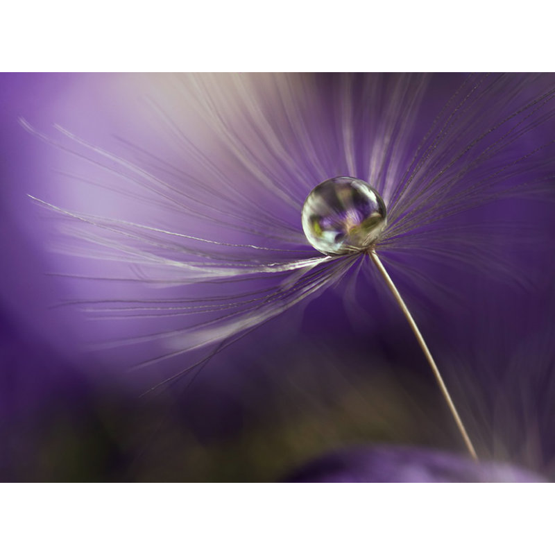 Wrapped Canvas Print, 76.2 cm H x 50.8 cm W