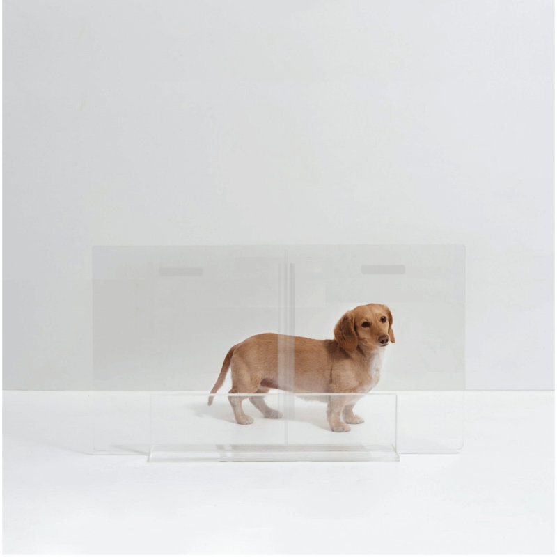 Barrière pour animaux autoportante, H 24 po x l 32 po
