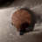Rhuardhi Modern Round Wood Coffee Table with Accent End Table