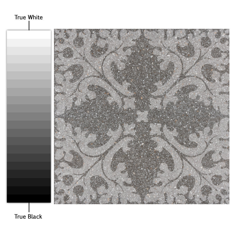 Farnese Molise 11.5" x 11.5" Porcelain Patterned Wall & Floor Tile, Grafito