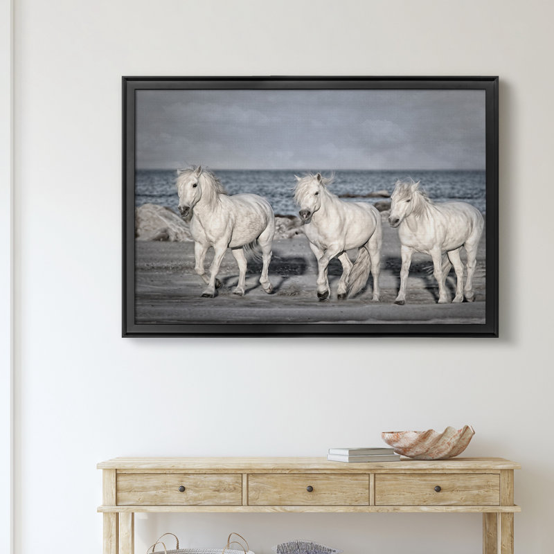 «Morning Run» - Cadre photo, impression sur toile, Noir, H 30,5 po x l 42,5 po x P 1,5 po