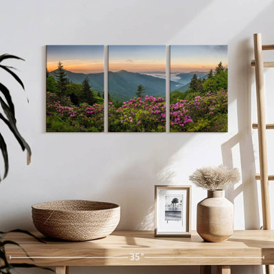 " Blue Ridge Mountains View " 3 - Pieces