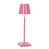 Rose magenta est en rupture de stock