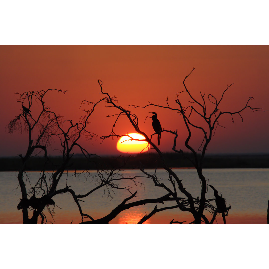 Sonnenuntergang am Chobe-Fluss