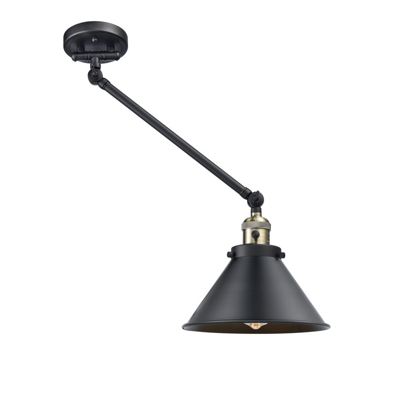 Shauna Swing Arm Sconce, Black/Antique Brass, Matte Black