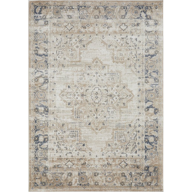 Aldonia Oriental Indoor Rug, Rectangle 4' x 6'