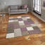 Brooklyn area rug Machine Woven Rectangle Beige/Purple-24398549