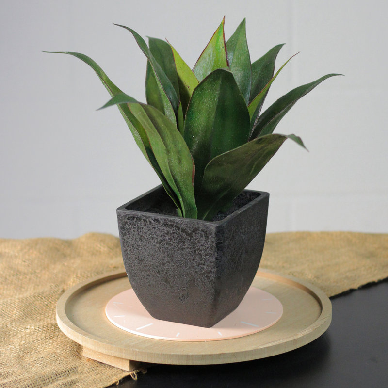 16" Artificial Potted Green Agave Succulent Plant