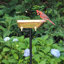 Bain d'oiseaux Brander-1041282362
