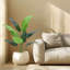 Plant-1598778491-1598778485