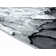 Devola Abstract Indoor Rug