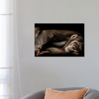 The Teenager by Paul Neville - Wrapped Canvas Photograph
