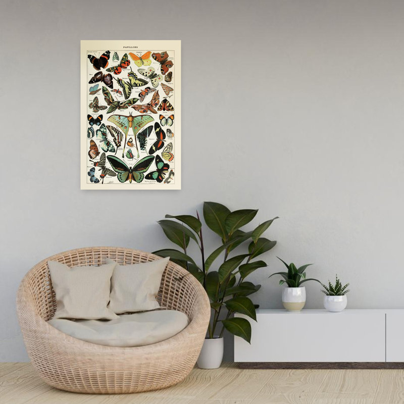 Papillons 1 papillon, art de la nature, H 24 po x l 16 po