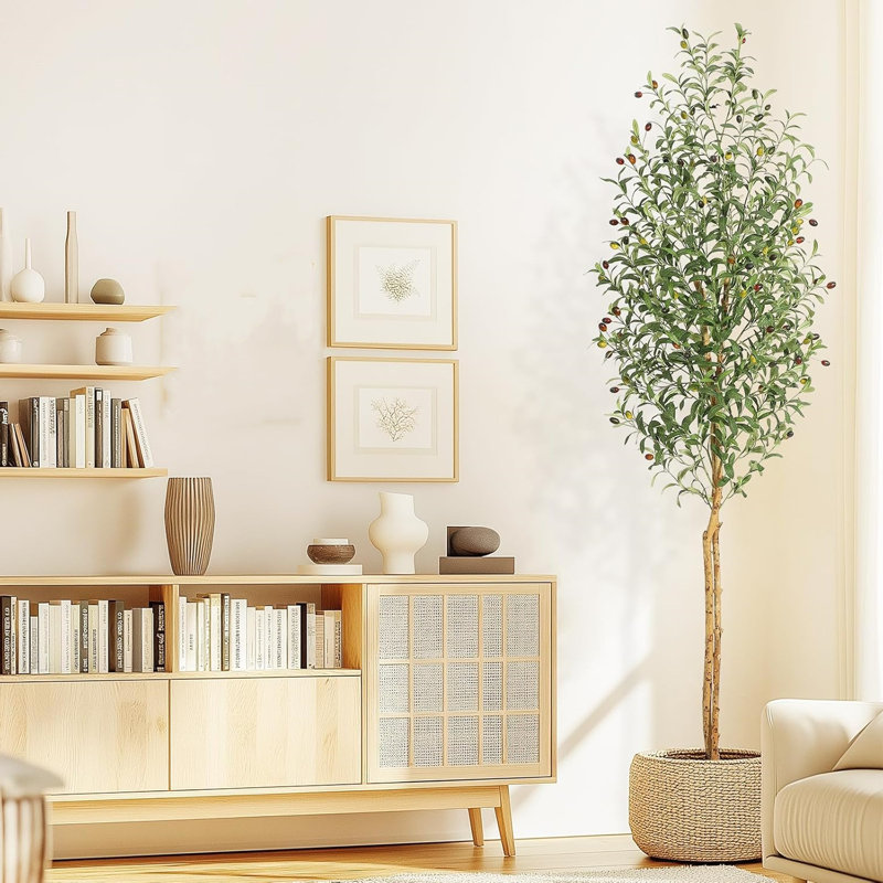 Olive Trees, H 83,8 po x l 8,6 po x P 8,6 po