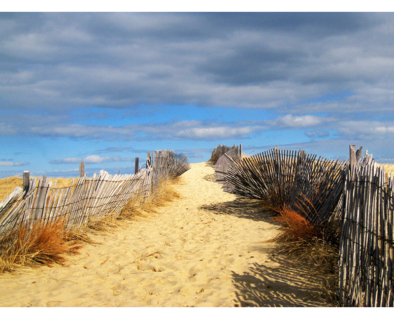« path to the beach », reproduction de photo sur toile tendue, H 18 po x l 24 po x P 1,5 po